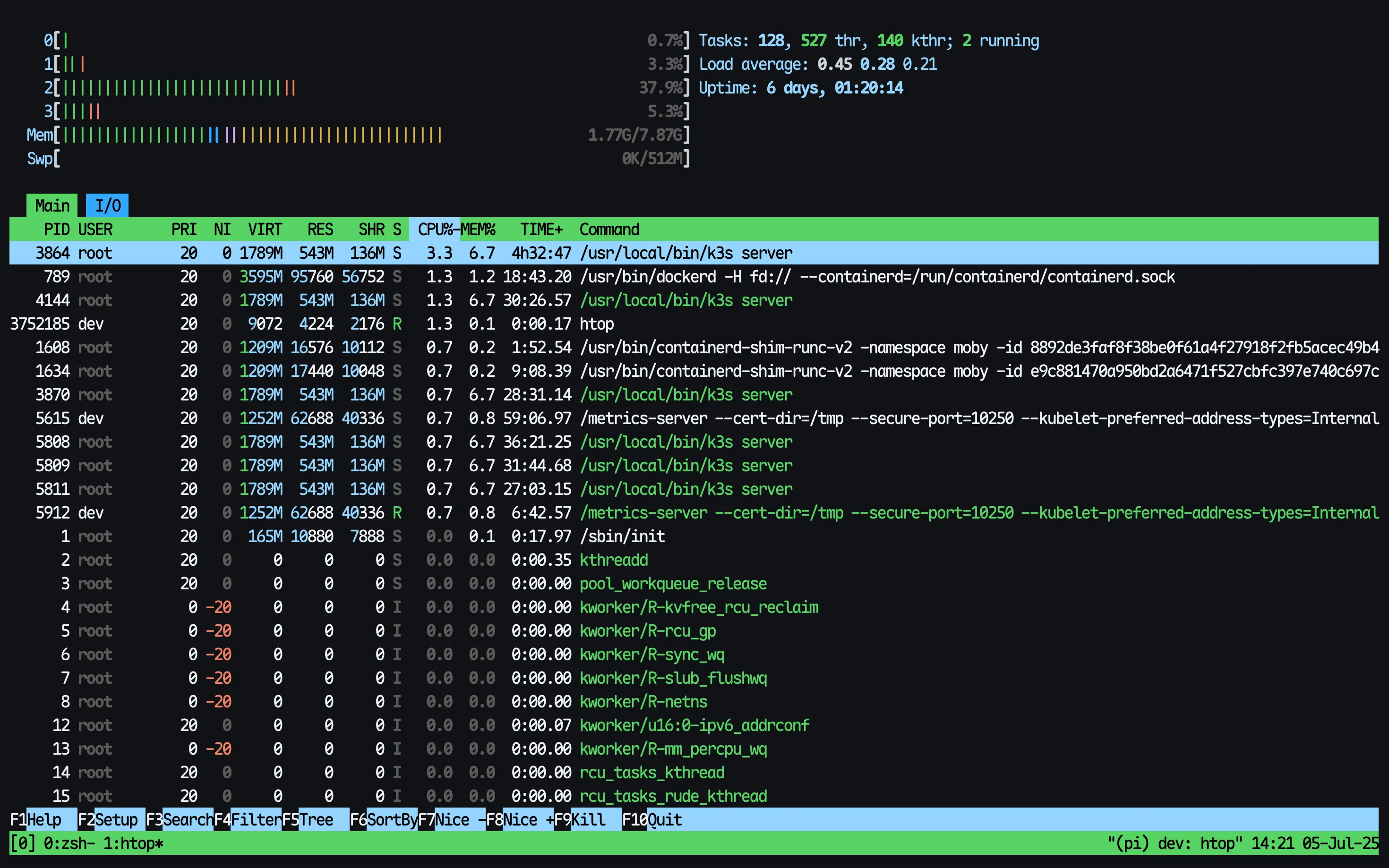 PI HTOP Usage